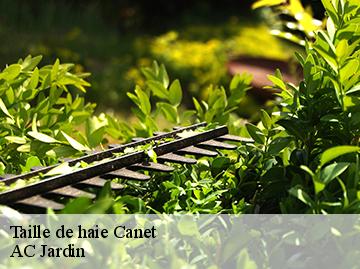 Taille de haie canet-34800 AC Jardin