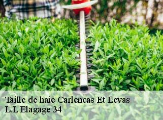 Taille de haie  carlencas-et-levas-34600 L.L Elagage 34 