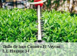 Taille de haie  causses-et-veyran-34490 L.L Elagage 34 