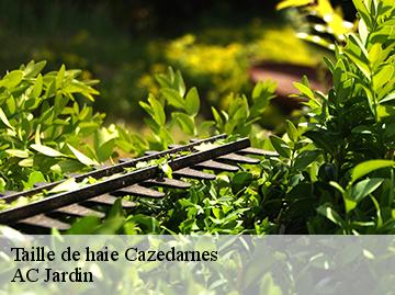 Taille de haie cazedarnes-34460 AC Jardin