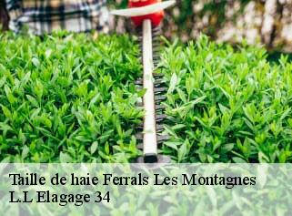 Taille de haie  ferrals-les-montagnes-34210 L.L Elagage 34 