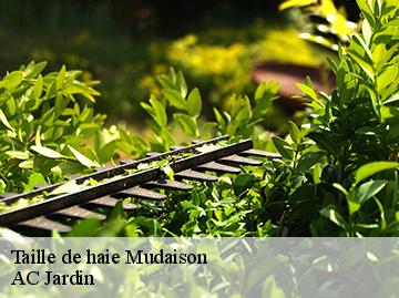 Taille de haie mudaison-34130 AC Jardin
