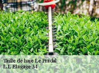 Taille de haie  le-pradal-34600 L.L Elagage 34 
