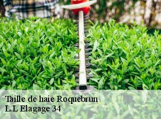 Taille de haie  roquebrun-34460 L.L Elagage 34 