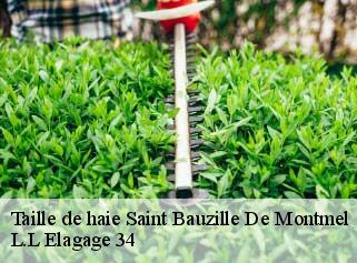 Taille de haie  saint-bauzille-de-montmel-34160 L.L Elagage 34 