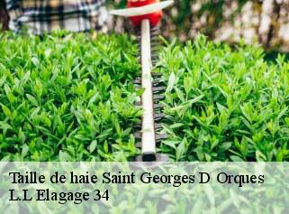 Taille de haie  saint-georges-d-orques-34680 L.L Elagage 34 