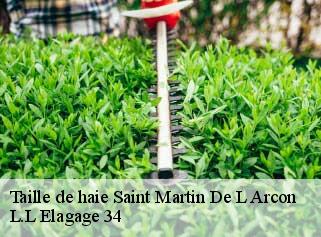Taille de haie  saint-martin-de-l-arcon-34390 Beaumann