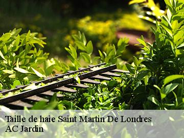 Taille de haie saint-martin-de-londres-34380 AC Jardin