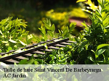 Taille de haie saint-vincent-de-barbeyrargu-34730 Beaumann