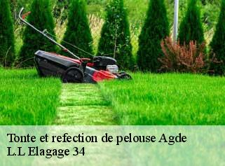 Tonte et refection de pelouse  agde-34300 L.L Elagage 34 