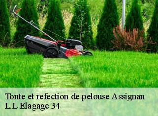 Tonte et refection de pelouse  assignan-34360 Beaumann
