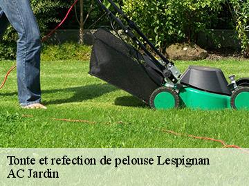 Tonte et refection de pelouse lespignan-34710 AC Jardin
