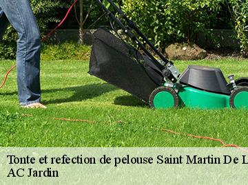 Tonte et refection de pelouse saint-martin-de-l-arcon-34390 AC Jardin