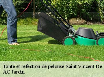 Tonte et refection de pelouse saint-vincent-de-barbeyrargu-34730 AC Jardin