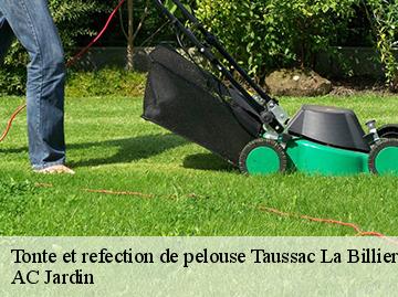 Tonte et refection de pelouse taussac-la-billiere-34600 Beaumann