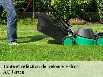 Tonte et refection de pelouse valros-34290 AC Jardin