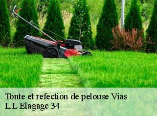 Tonte et refection de pelouse  vias-34450 L.L Elagage 34 
