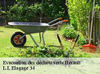 Evacuation des déchets verts 34 Hérault  L.L Elagage 34 