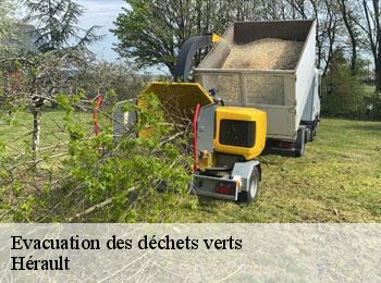 Evacuation des déchets verts Hérault 
