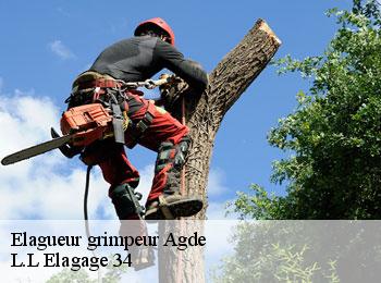 Elagueur grimpeur  agde-34300 L.L Elagage 34 