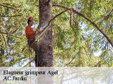 Elagueur grimpeur agel-34210 AC Jardin
