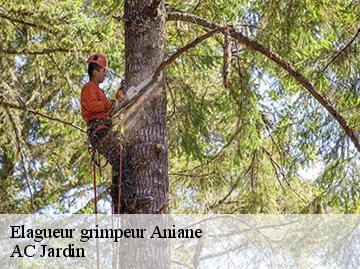 Elagueur grimpeur aniane-34150 AC Jardin
