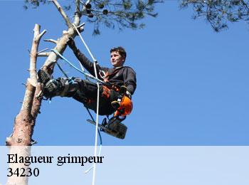 Elagueur grimpeur  34230