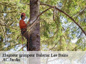 Elagueur grimpeur balaruc-les-bains-34540 AC Jardin