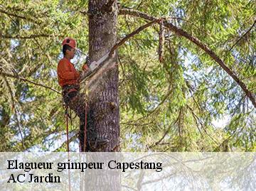Elagueur grimpeur capestang-34310 AC Jardin