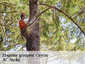 Elagueur grimpeur ceyras-34800 AC Jardin