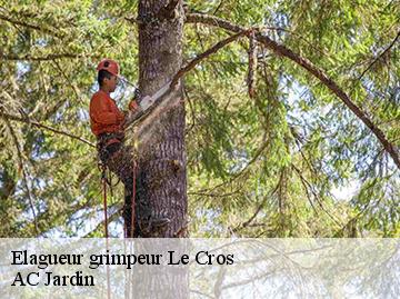 Elagueur grimpeur le-cros-34520 AC Jardin