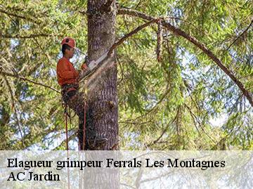 Elagueur grimpeur ferrals-les-montagnes-34210 AC Jardin