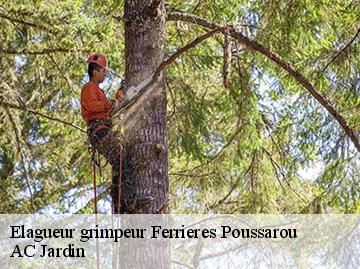 Elagueur grimpeur ferrieres-poussarou-34360 AC Jardin