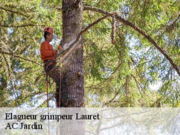 Elagueur grimpeur lauret-34270 AC Jardin