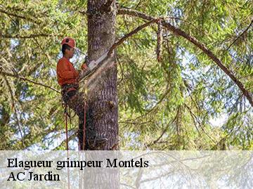 Elagueur grimpeur montels-34310 AC Jardin