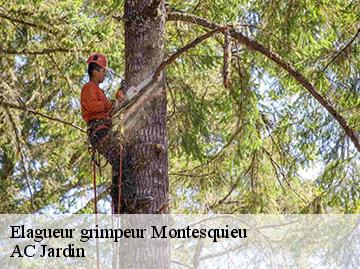 Elagueur grimpeur montesquieu-34320 AC Jardin