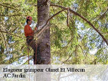 Elagueur grimpeur olmet-et-villecun-34700 AC Jardin
