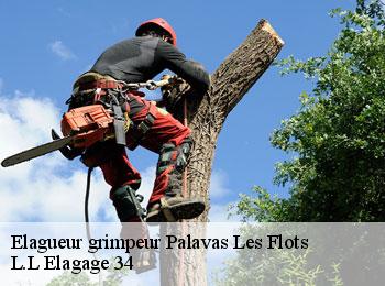 Elagueur grimpeur  palavas-les-flots-34250 L.L Elagage 34 