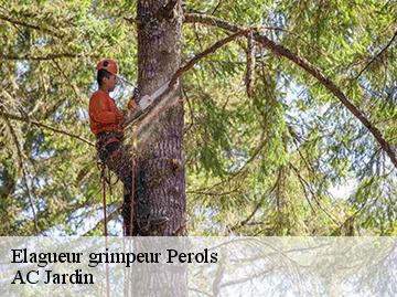 Elagueur grimpeur perols-34470 AC Jardin