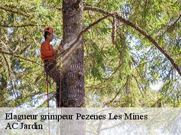 Elagueur grimpeur pezenes-les-mines-34600 AC Jardin