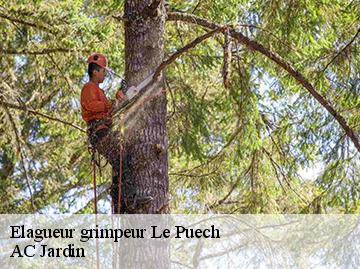 Elagueur grimpeur le-puech-34700 AC Jardin