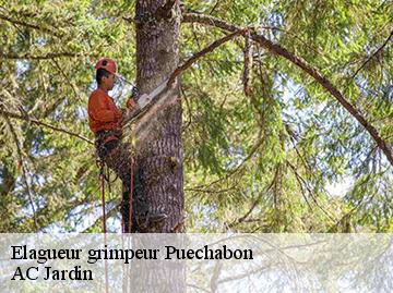 Elagueur grimpeur puechabon-34150 AC Jardin