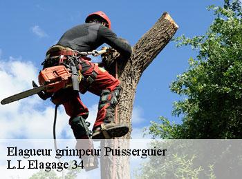 Elagueur grimpeur  puisserguier-34620 L.L Elagage 34 