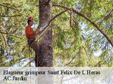 Elagueur grimpeur saint-felix-de-l-heras-34520 AC Jardin