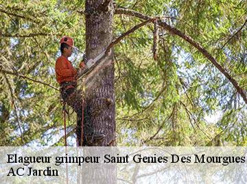 Elagueur grimpeur saint-genies-des-mourgues-34160 AC Jardin