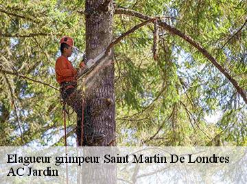 Elagueur grimpeur saint-martin-de-londres-34380 AC Jardin