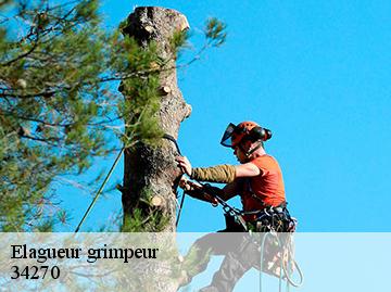 Elagueur grimpeur 34270
