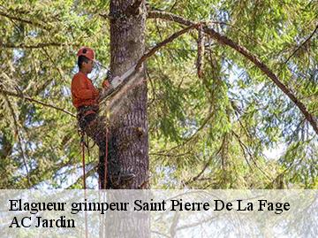 Elagueur grimpeur saint-pierre-de-la-fage-34520 AC Jardin