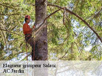 Elagueur grimpeur salasc-34800 AC Jardin