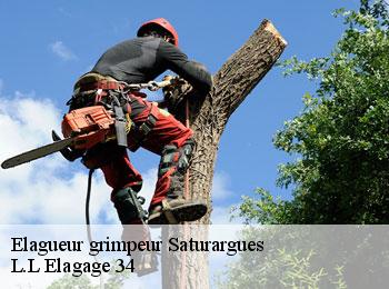 Elagueur grimpeur  saturargues-34400 L.L Elagage 34 